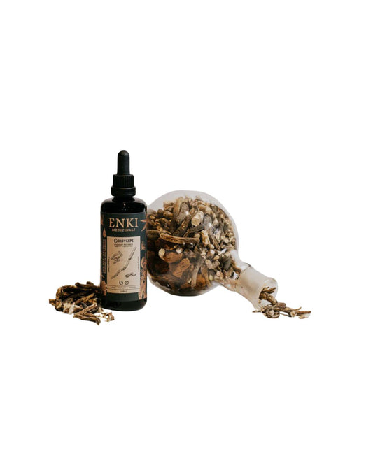 Cordyceps Mushroom Spagyric Tincture - Enki