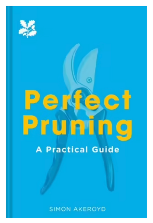 Perfect Pruning