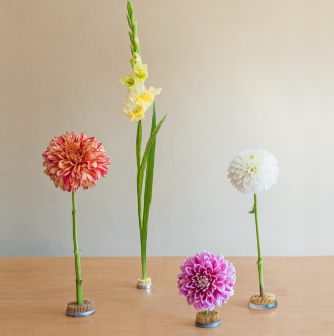 IKEBANA STAYPUT KENZAN FLOWER HOLDER ROUND SMALL 5cm