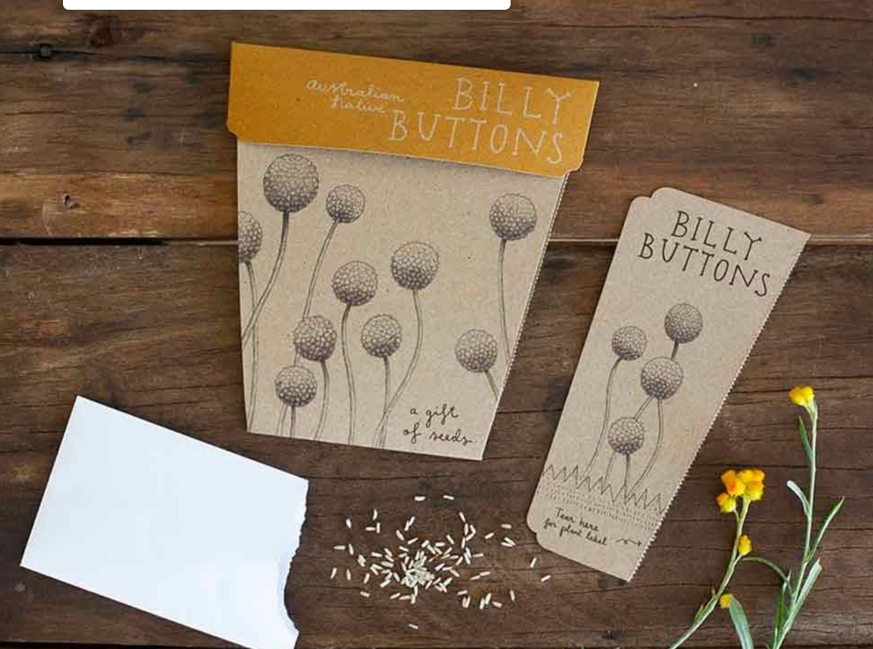 Billy Buttons