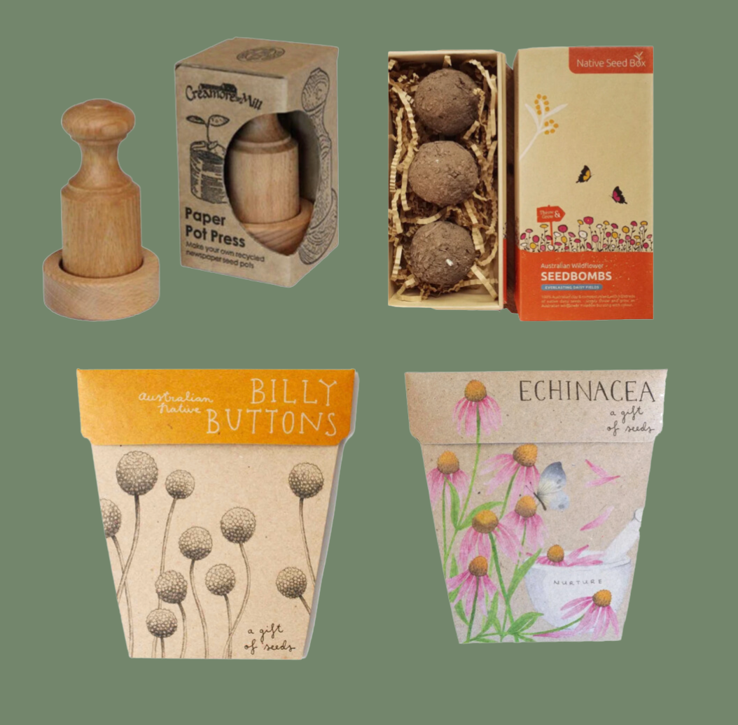 Seeds & Pot maker Bundle