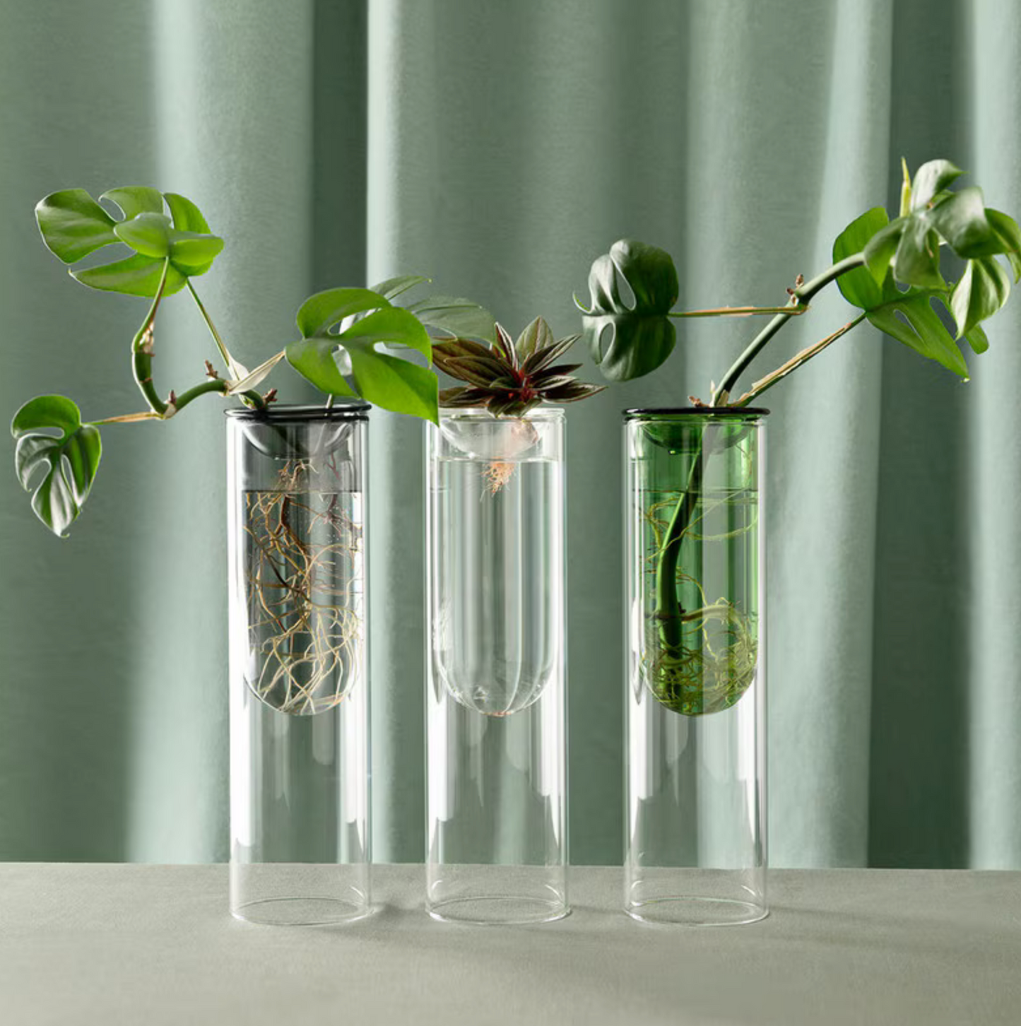 Studio Milligram - Organic Interior - Propagation