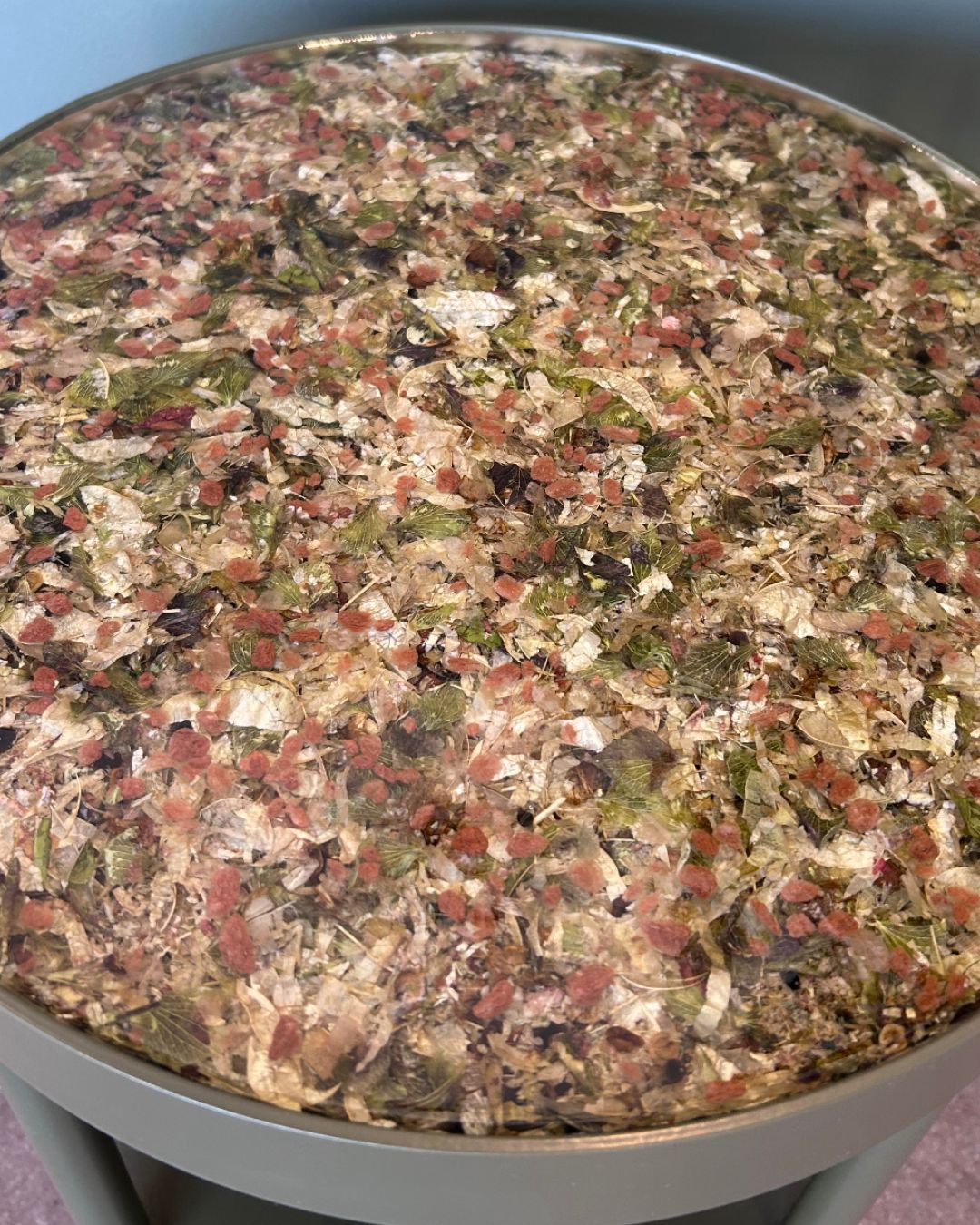 Side Table - Plants and Bio Resin