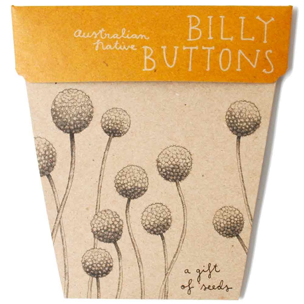 Billy Buttons