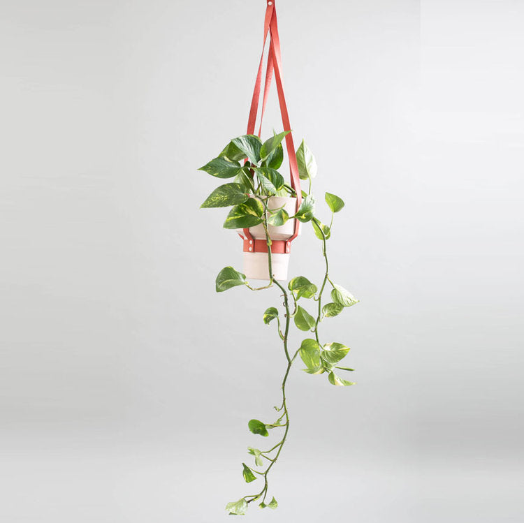 BB SHOEMAKER X EST LEATHER HANGING PLANTER