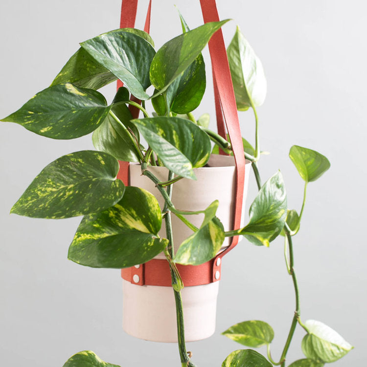 BB SHOEMAKER X EST LEATHER HANGING PLANTER