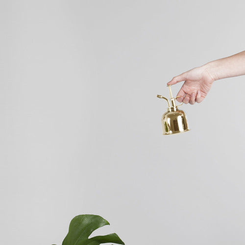 HAWS || BRASS MISTER