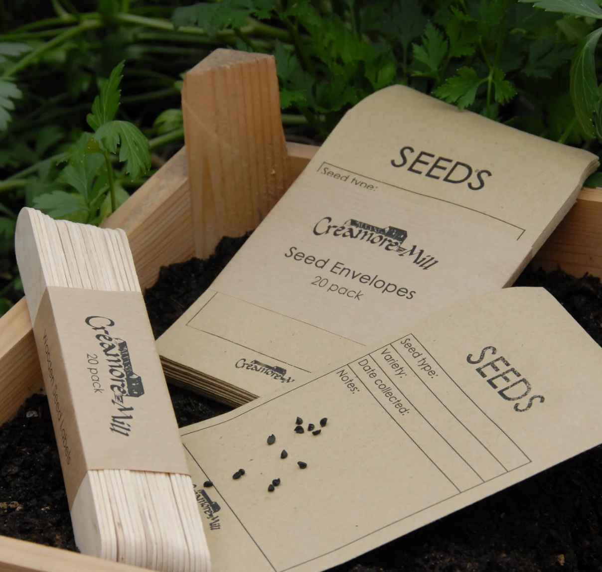 Seed Envelopes