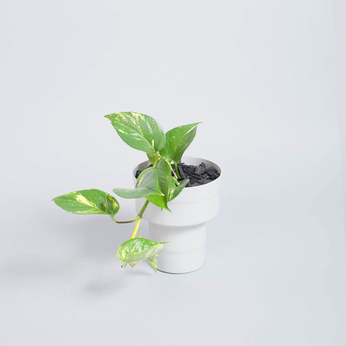 TWO TIERED PLANTER - LIGHT GREY
