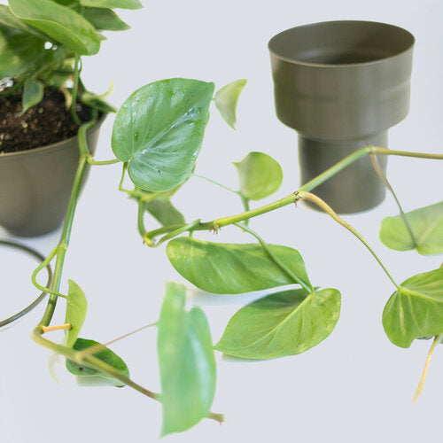 TWO TIERED PLANTER - OLIVE