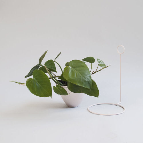 WALL PLANTER PALE PINK