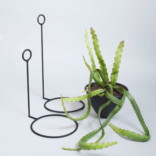 WALL PLANTER RIPPLE BLACK