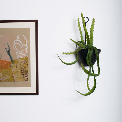 WALL PLANTER RIPPLE BLACK
