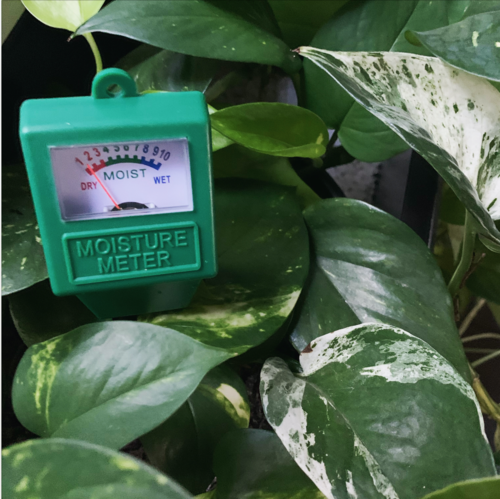WATER METER