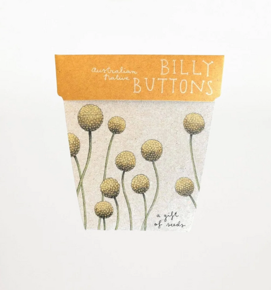 Billy Buttons