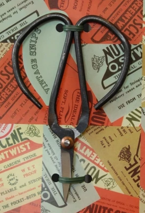 FLOWER SCISSORS