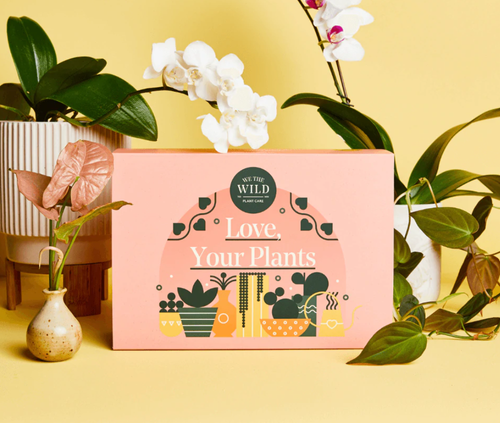 WE THE WILD : LOVE YOUR PLANTS ESSENTIAL KIT