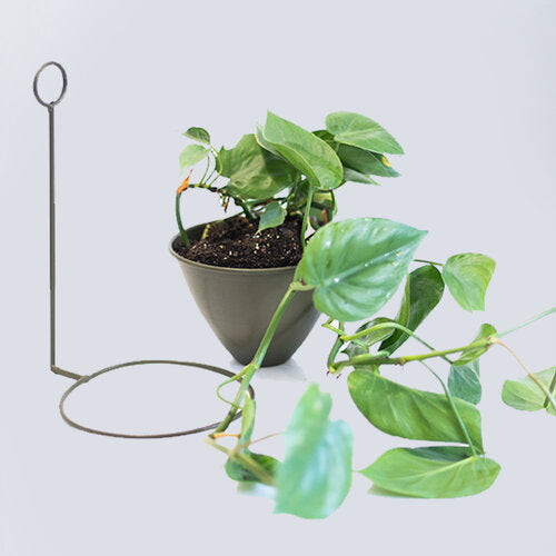 WALL PLANTER - OLIVE